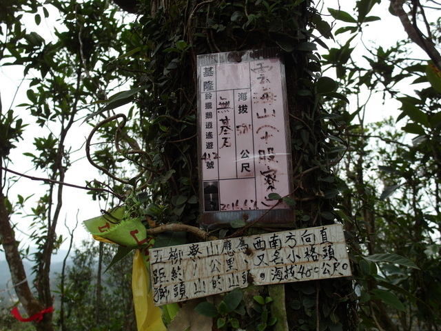 風露嘴山 (56).JPG