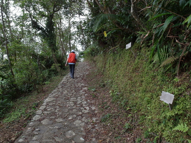 風露嘴山 (59).JPG