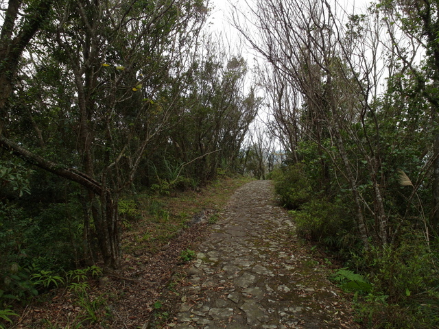 風露嘴山 (63).JPG