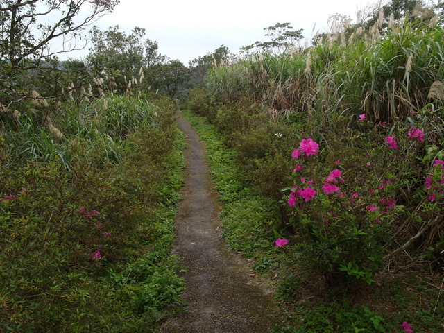 風露嘴山 (85).JPG