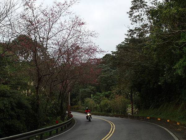 風露嘴山 (91).JPG