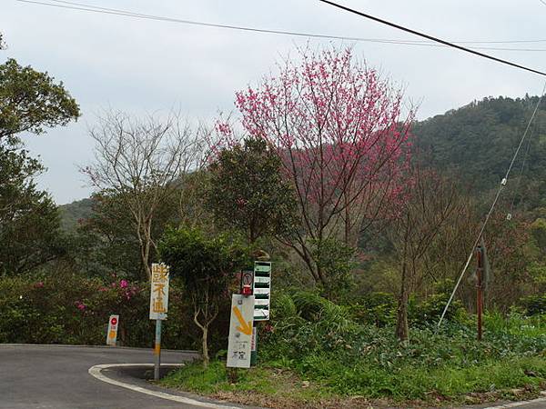 風露嘴山 (96).JPG