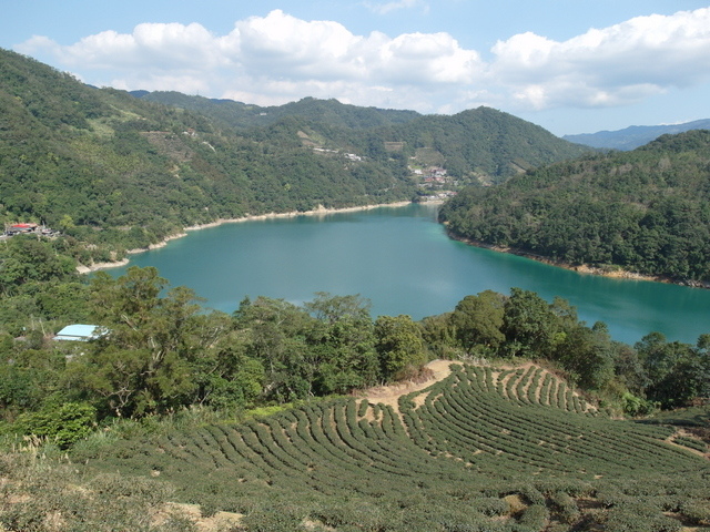 永安景觀步道 (40).JPG