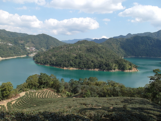 永安景觀步道 (43).JPG 永安景觀步道 (43).JPG