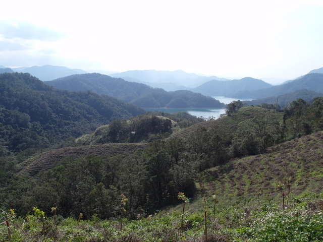 永安景觀步道 (64).JPG