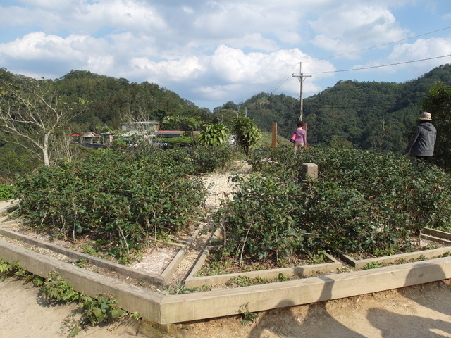 永安景觀步道 (76).JPG