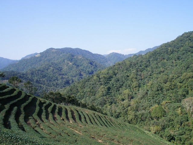 永安景觀步道 (120).JPG