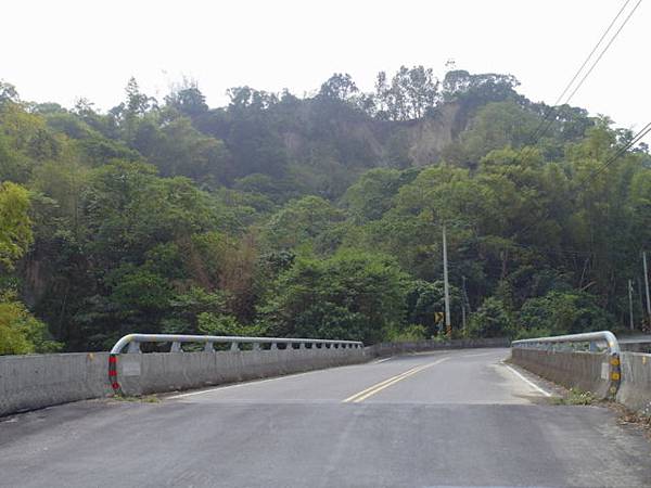 蘭科植物園  (2).JPG