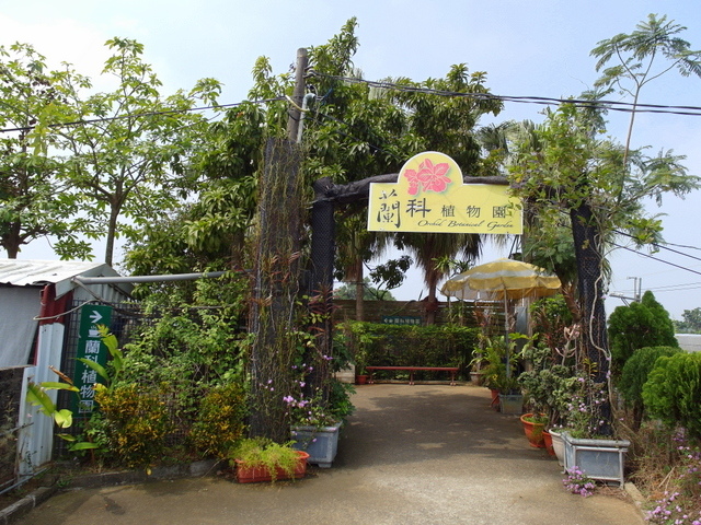 蘭科植物園 (11).JPG 蘭科植物園 (11).JPG
