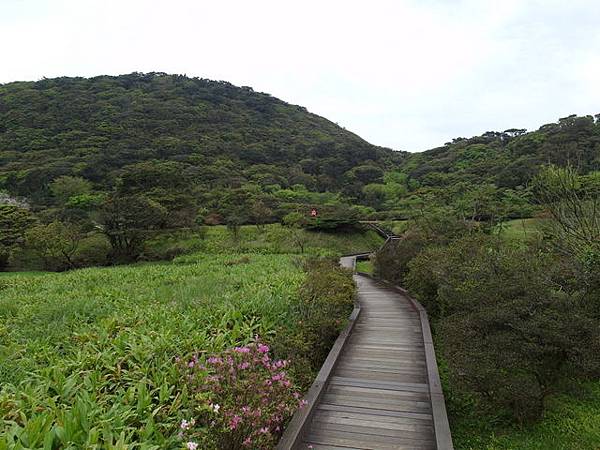 菜公坑山 (19).JPG