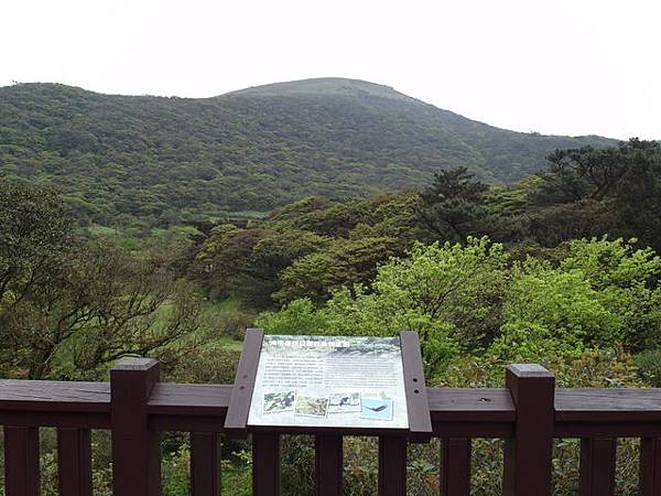 菜公坑山 (32).JPG