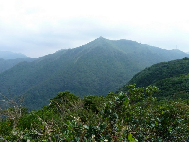 菜公坑山 (107).JPG