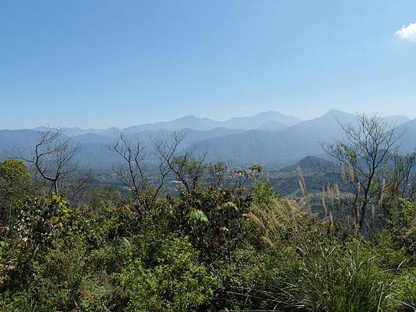 金龍山 (40).jpg