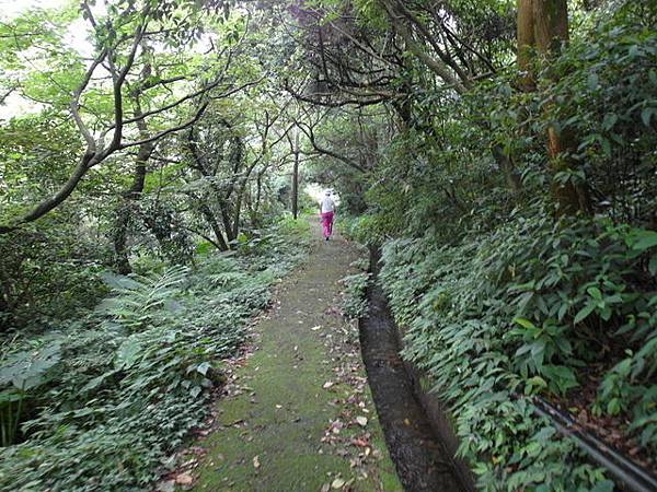 鹿崛坪古道 (25).JPG