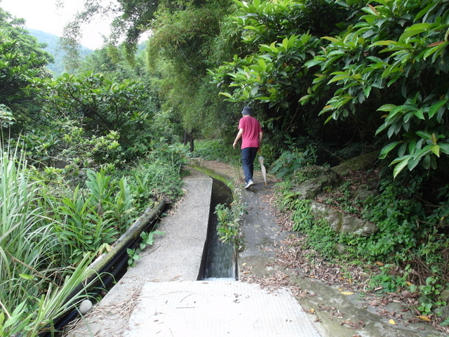 鹿崛坪古道 (29).JPG