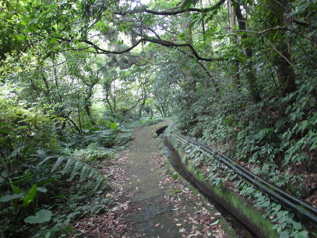 鹿崛坪古道 (33).JPG