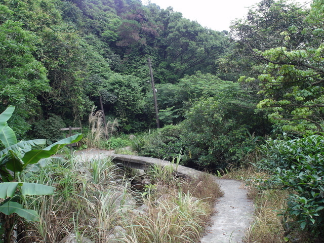 鹿崛坪古道 (38).JPG