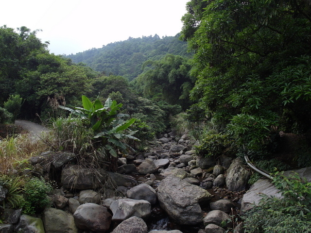 鹿崛坪古道 (39).JPG