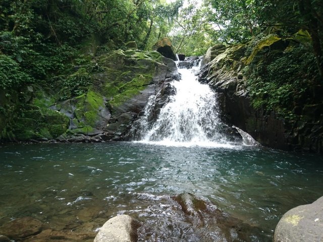 鹿崛坪古道 (43).JPG 鹿崛坪古道 (43).JPG
