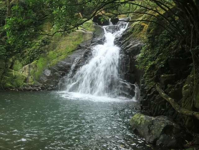 鹿崛坪古道 (48).JPG