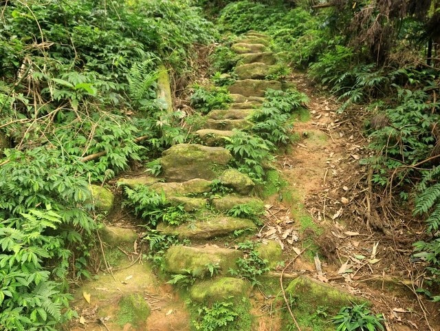 鹿崛坪古道 (50).JPG