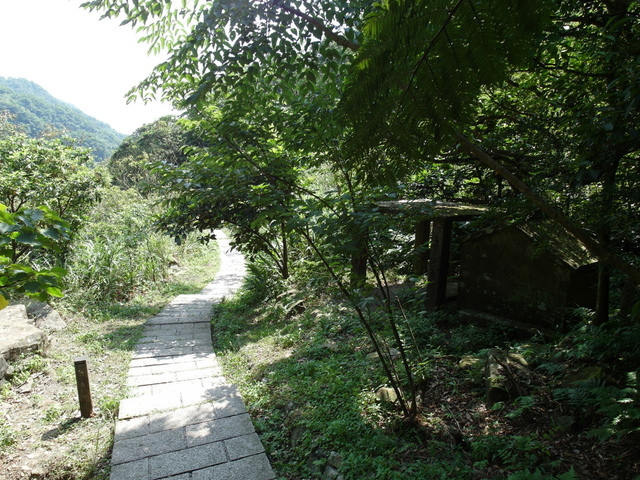 大粗坑古道 (93).JPG