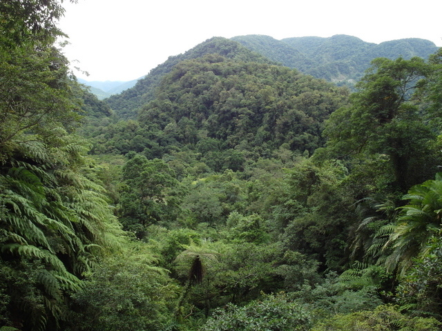 南澳古道 (100).JPG