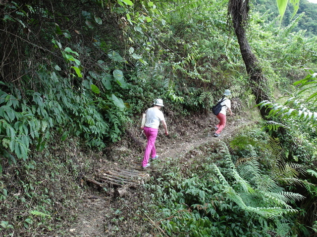 南澳古道 (110).JPG