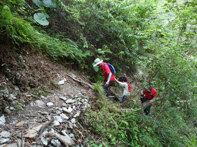 南澳古道 (126).JPG