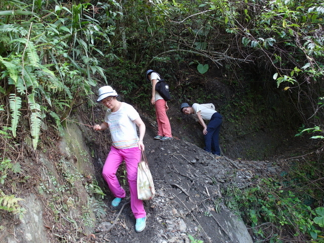 南澳古道 (189).JPG