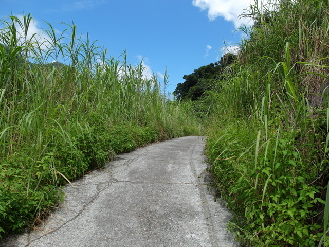 南澳古道 (214).JPG