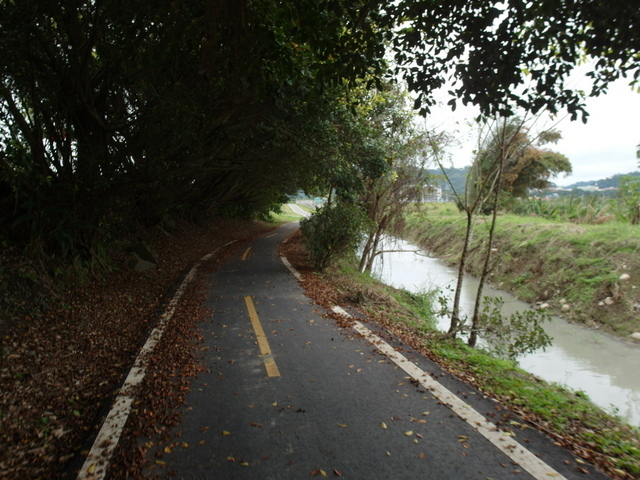 大鶯綠野景觀自行車道 (31).JPG