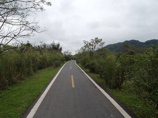 大鶯綠野景觀自行車道 (37).JPG