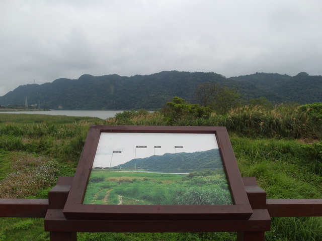 大鶯綠野景觀自行車道 (79).JPG