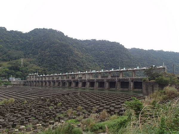 大鶯綠野景觀自行車道 (99).JPG