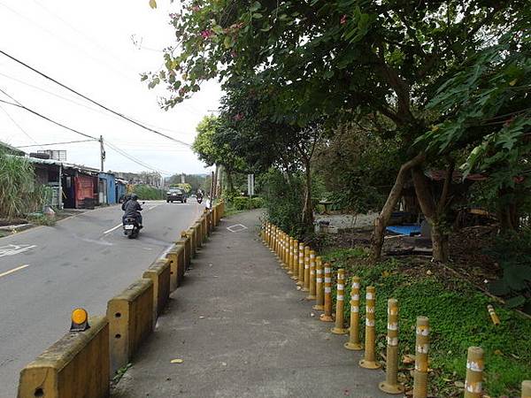 大鶯綠野景觀自行車道 (104).JPG