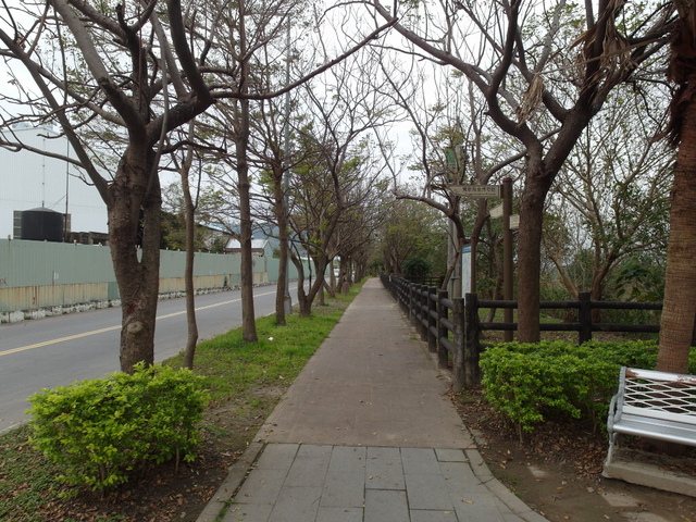 大鶯綠野景觀自行車道 (117).JPG