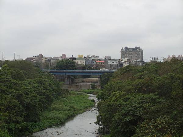 大鶯綠野景觀自行車道 (123).JPG