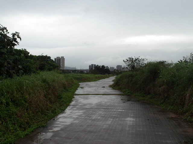 二重環狀自行車道 (329).jpg