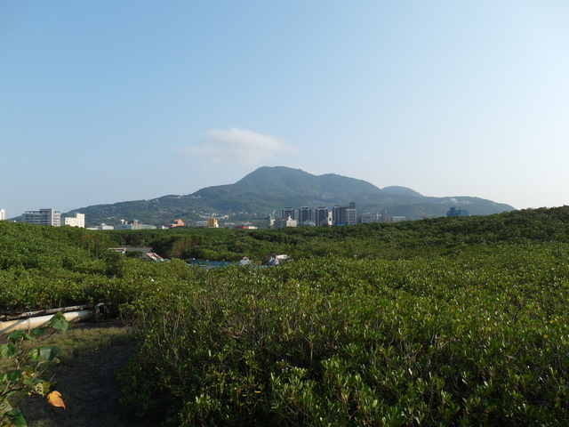 八里左岸自行車道 (162).JPG