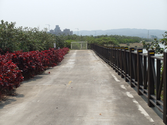 八里左岸自行車道 (225).JPG