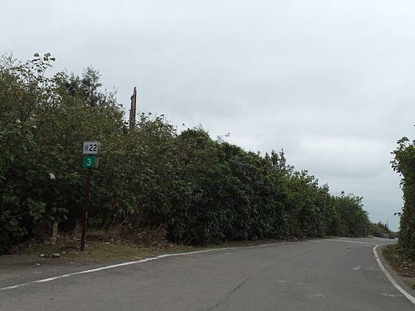 桃園濱海自行車道 (227).JPG