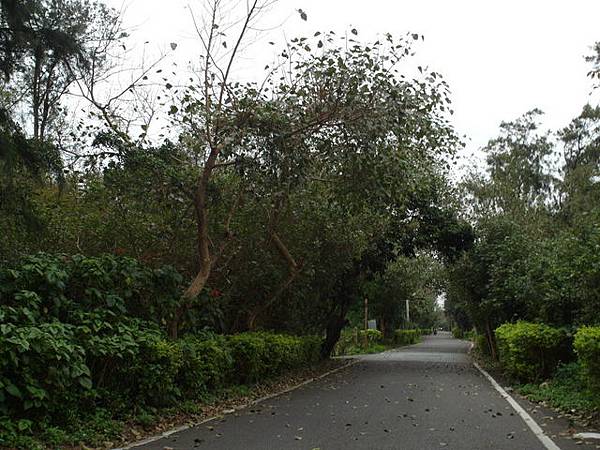 桃園濱海自行車道 (290).JPG