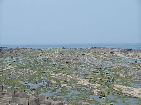 舊草嶺環狀線 (126).JPG