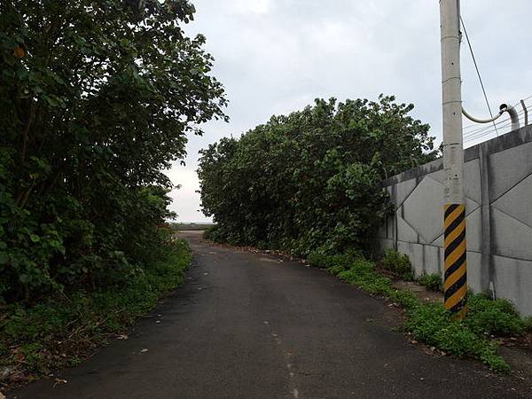 竹北．新豐濱海自行車道 (232).JPG