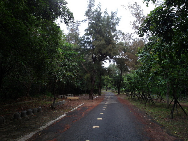 竹北．新豐濱海自行車道 (250).JPG