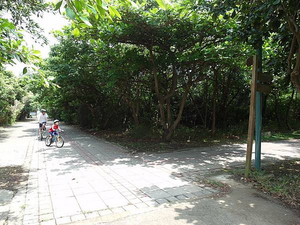 新竹十七公里海岸 (563).JPG