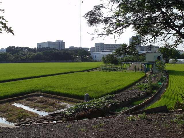 霄裡陽光鐵馬道 (126).jpg