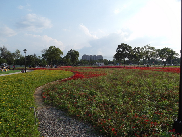 霄裡陽光鐵馬道 (184).jpg