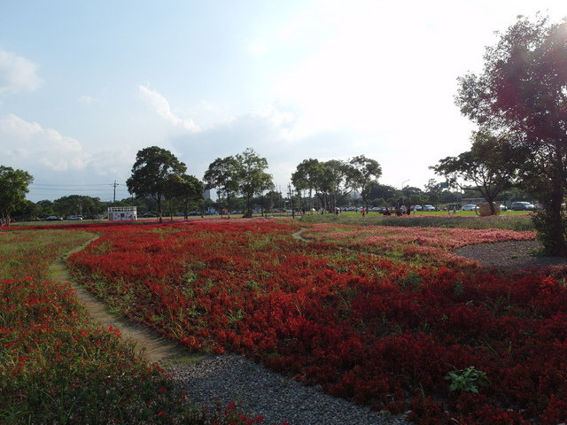 霄裡陽光鐵馬道 (185).jpg